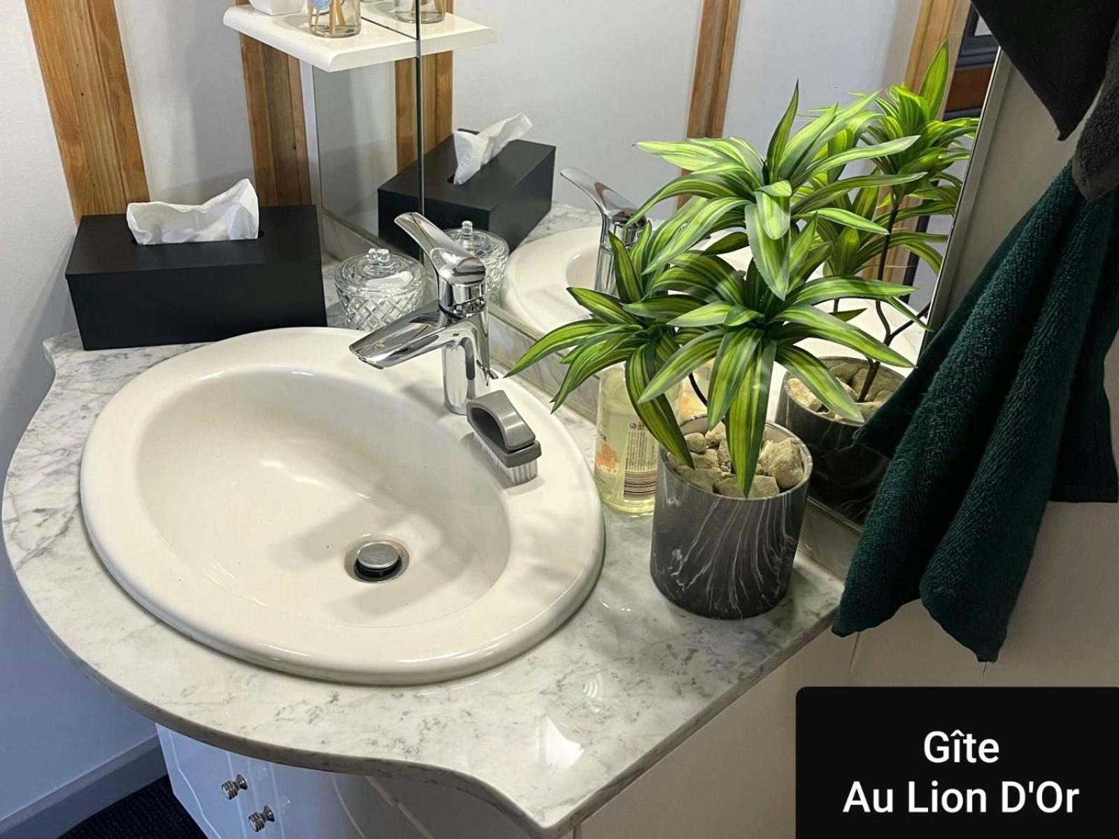 Au Lion D'Or Apartment Les Roches-l'Eveque Екстериор снимка