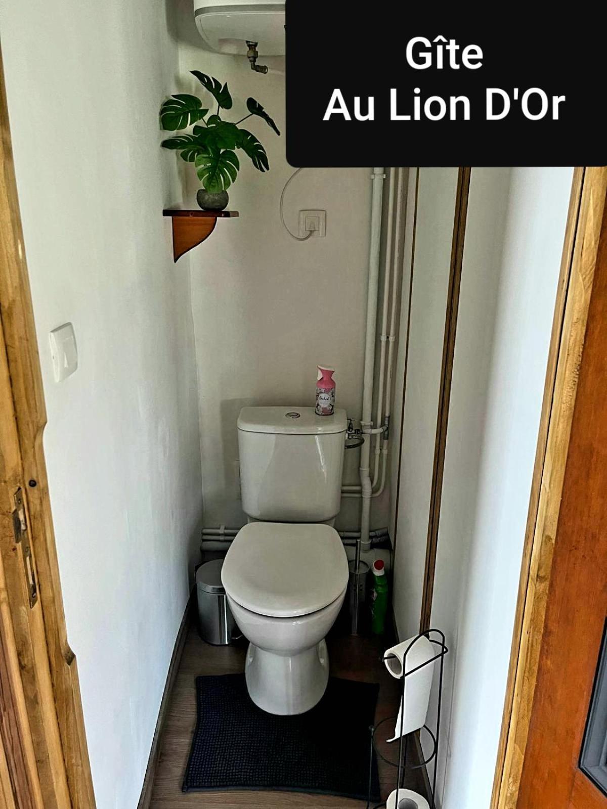 Au Lion D'Or Apartment Les Roches-l'Eveque Екстериор снимка
